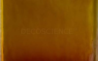 Art and Science Interplay