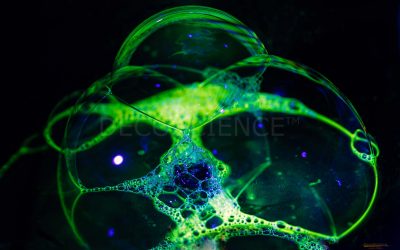 I Have Never Met a Bubble I Didn’t Like