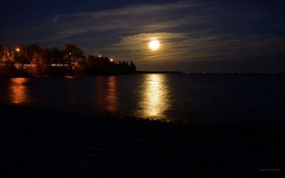 The Moon Looks SO Close Tonight