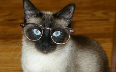 Let Me Introduce You to F.D.C. Willard, Physicist…Sort of