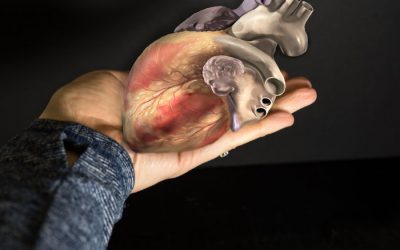 Need a Body Part? We Can Make That