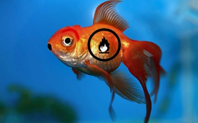 The Exploding Smelly Mess of Art