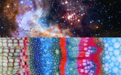 It’s All Dark (Matter) to Me