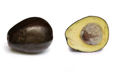 This Blog is Very Apeeling (Spelling Fully Intended)