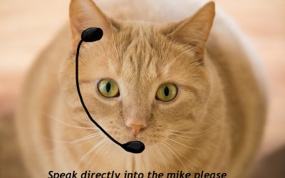 Code Name: Acoustic Kitty