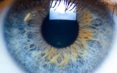 Maybe the Eyes Really DO Have It